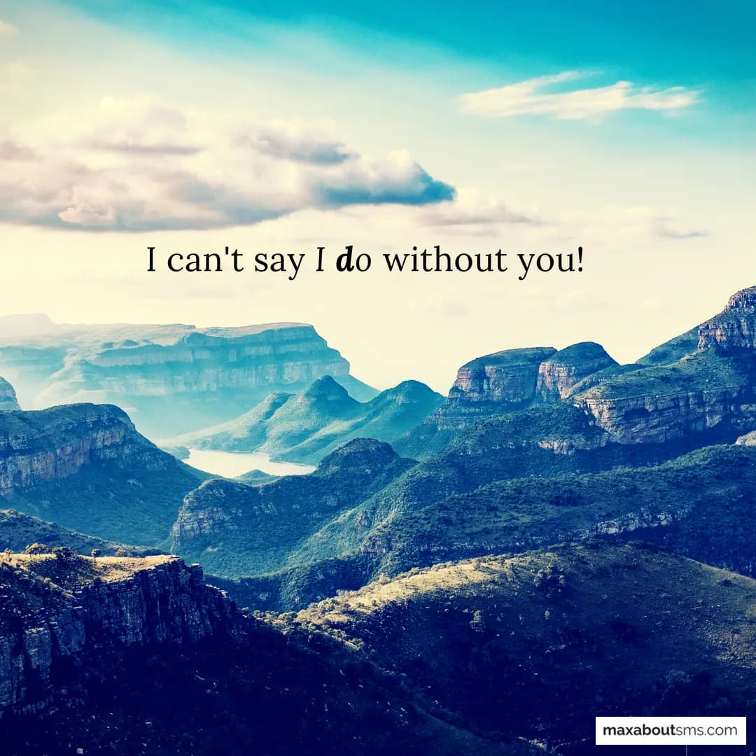 I can't say I do without you!