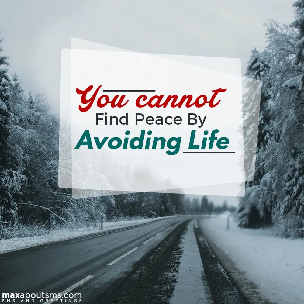 You cannot find peace by avoiding Life!