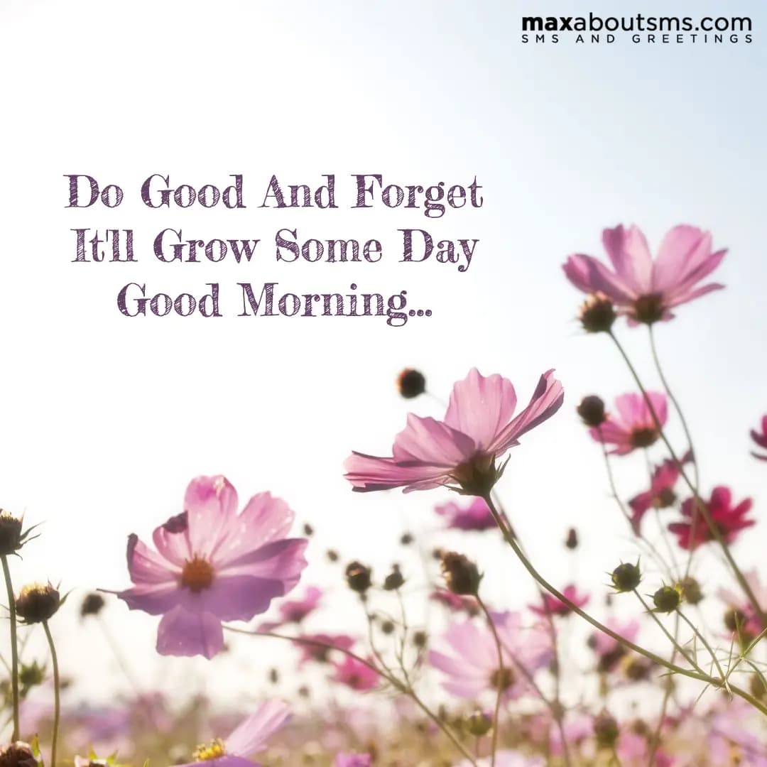 Do Good And Forget
It'll Grow Some Day
Good Morn