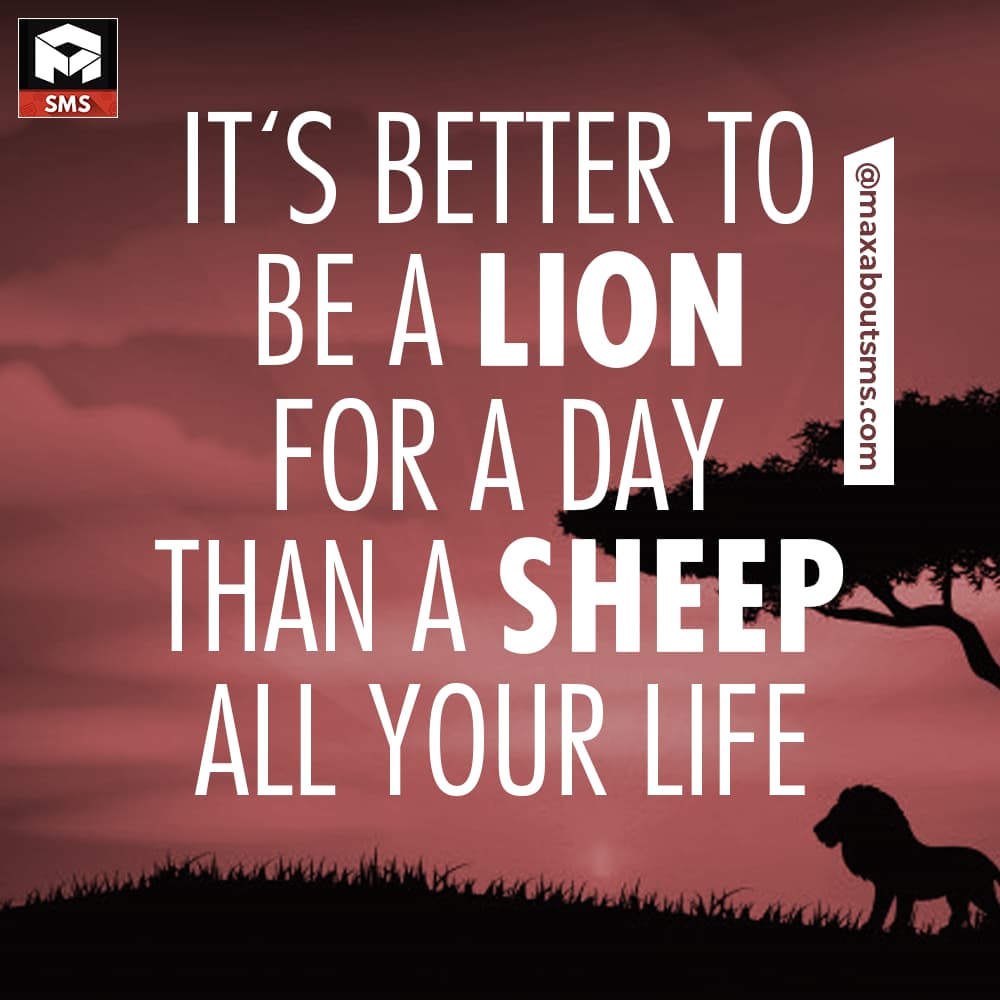 It's Better to be a LION for One Day,
then to be a