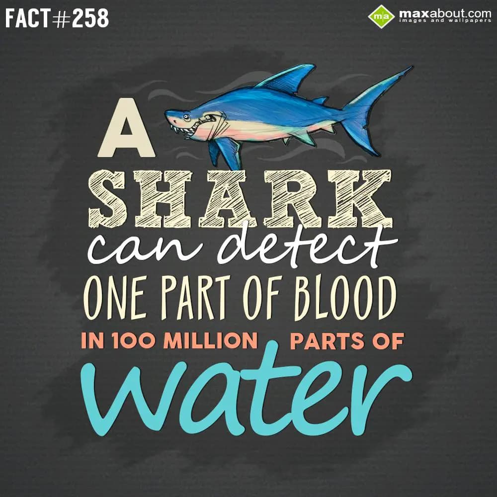 A Shark can detect one part of blood in 100 millio