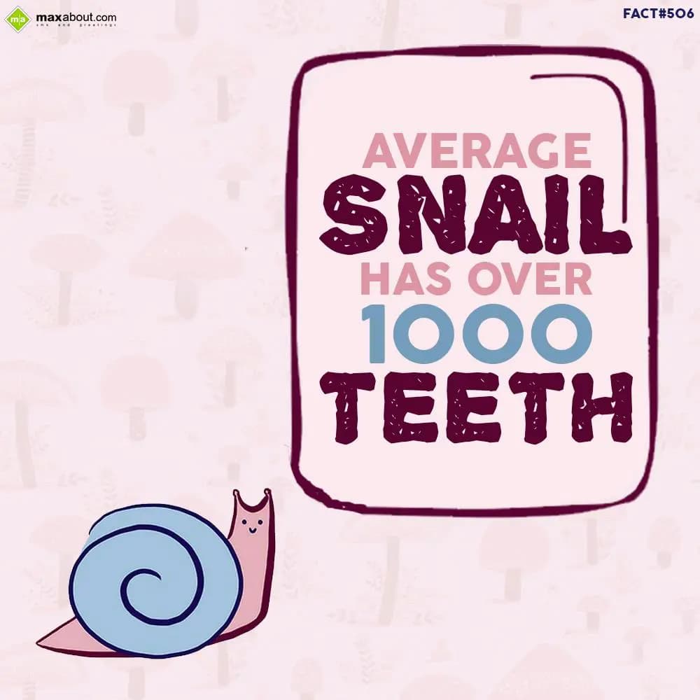 Average snail has over 1000 teeth.