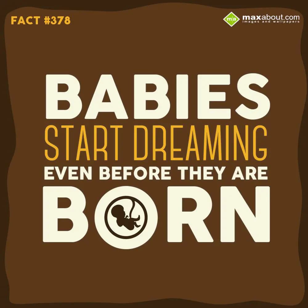 Babies start dreaming even before they are born..