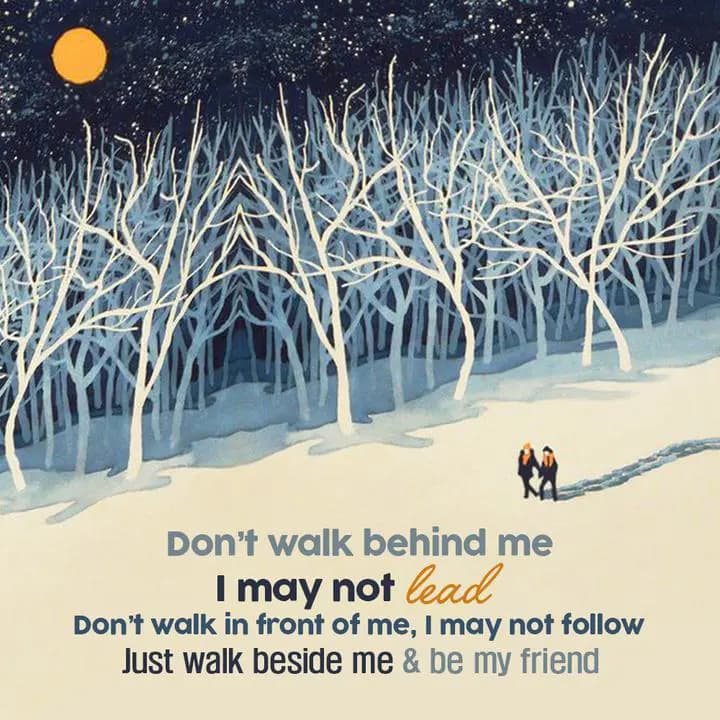 Don't walk behind me,
I may not lead.
Don't walk