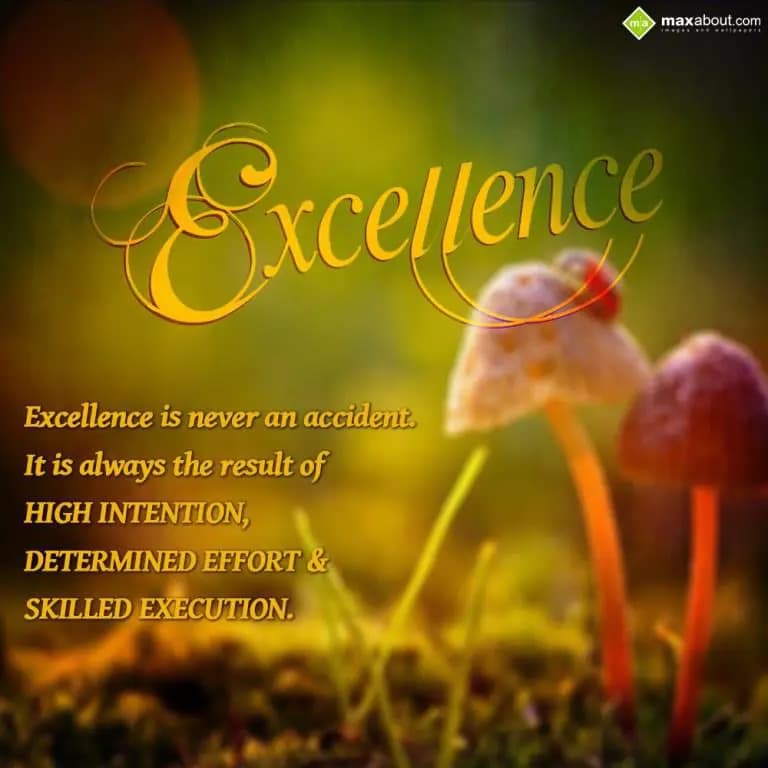 Excellence is never an accident. 
It is always th