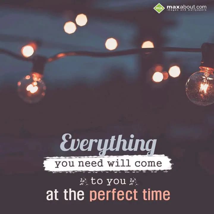 Everything you need
will come to you
at the perf