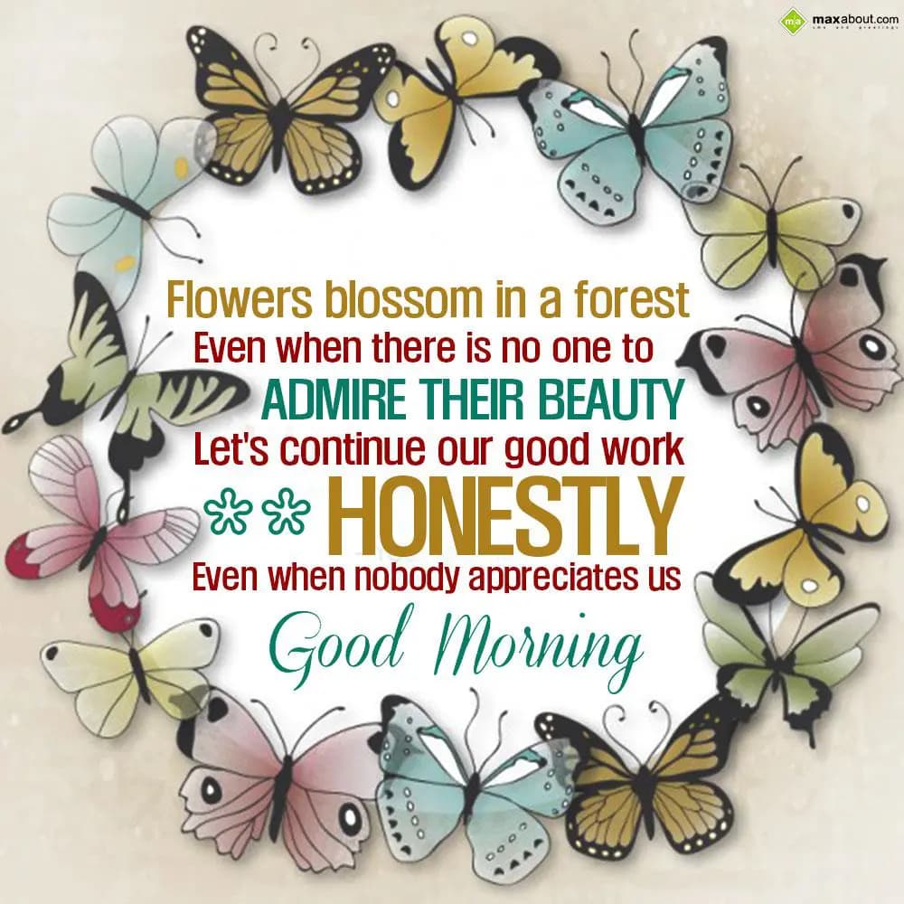 Flowers blossom in a forest even there is no one t