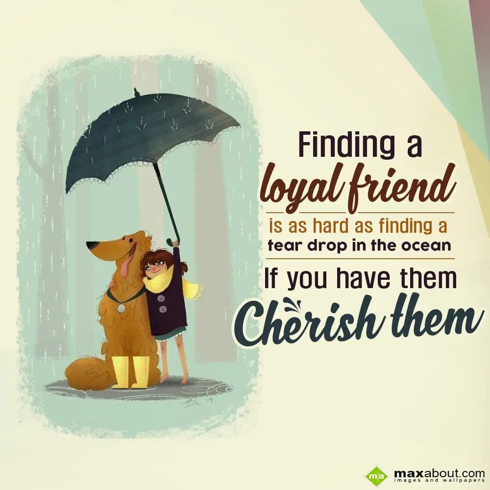 Finding a loyal friend is as hard as finding a tea