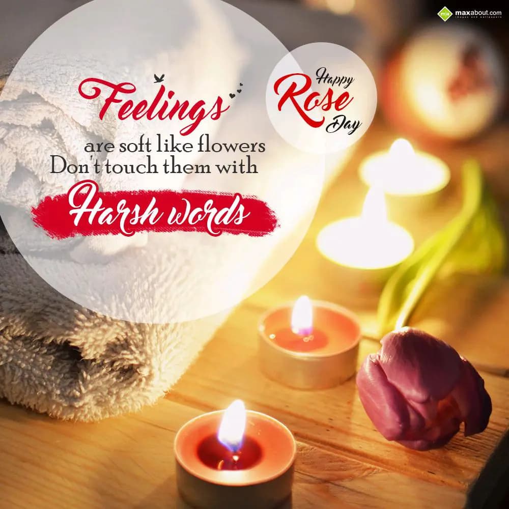 Feelings are soft like flowers
Don't touch them w