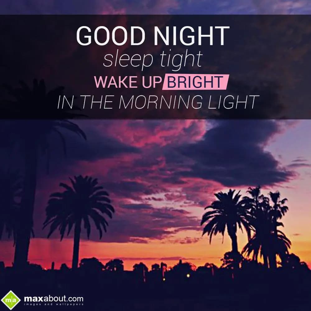 Good Night, Sleep Tight,
Wake Up Bright,
In The 