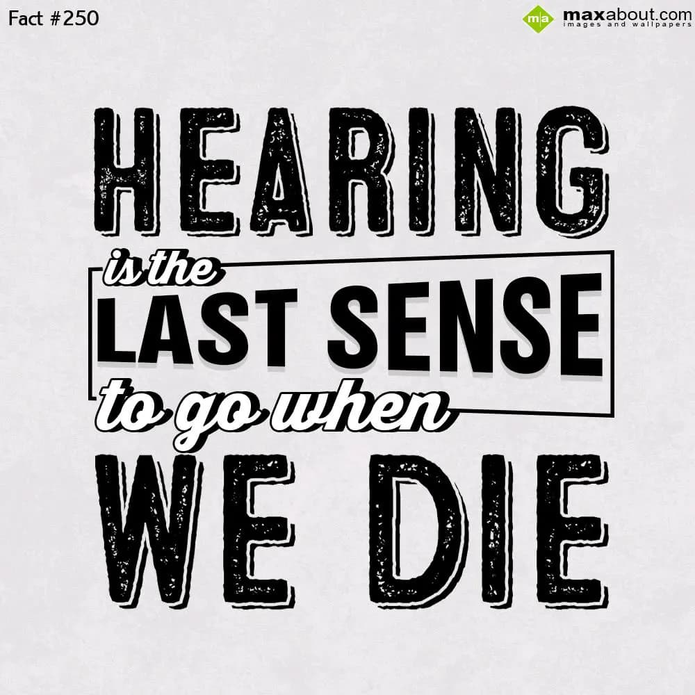 Hearing is the last sense to go when we Die.