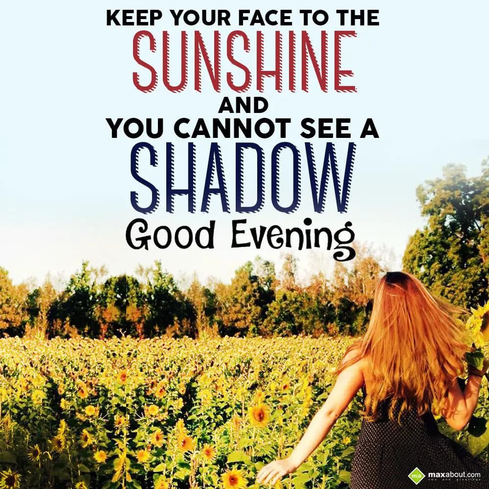 Keep your face to the sunshine and you cannot see 