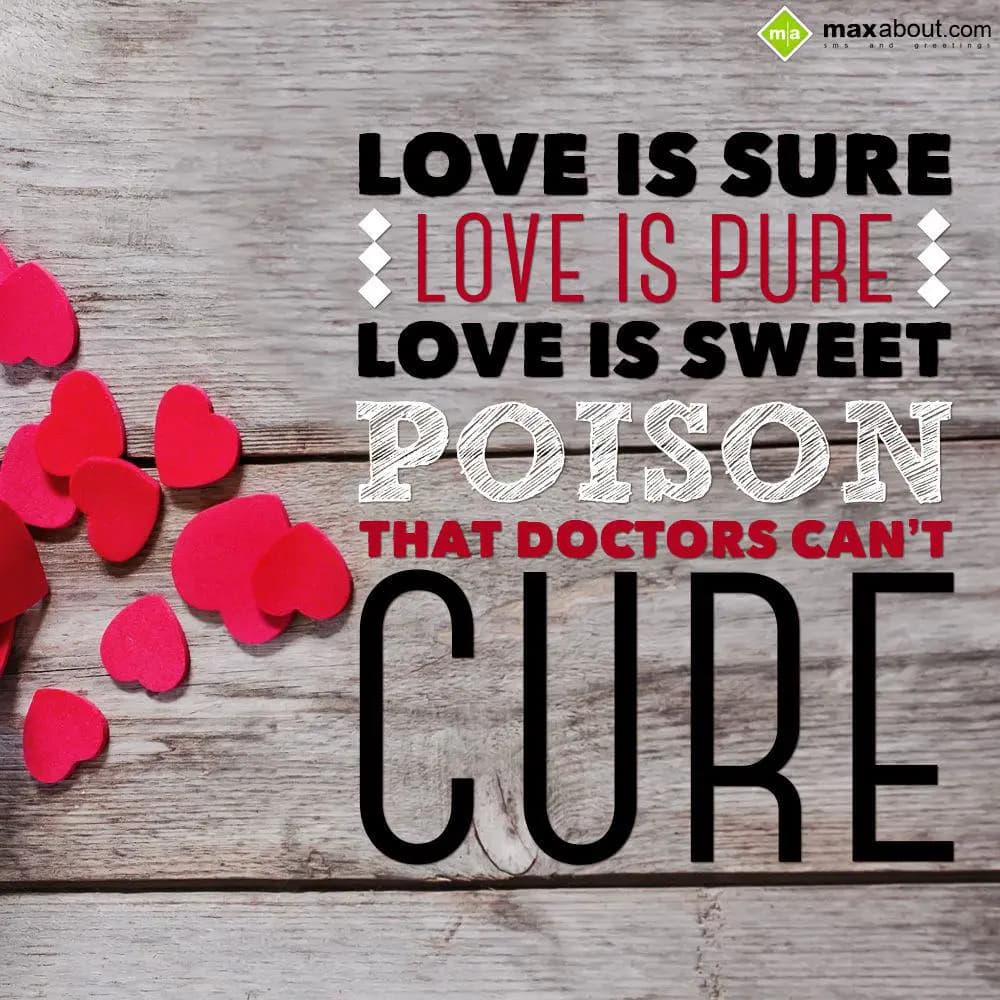 Love is Pure
Love is Sure
Love is sweet poison
