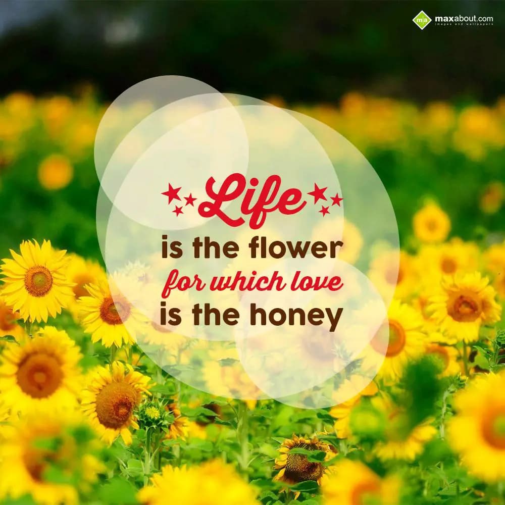Life is the flower
for which love is
   the hone