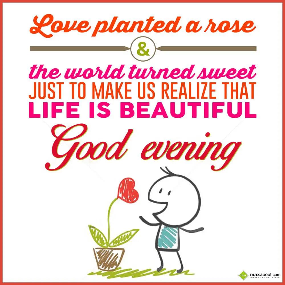 Love planted a rose & the world turned sweet just 