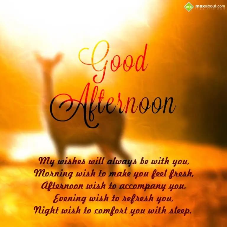 My wishes will always be with you,
Morning wish t