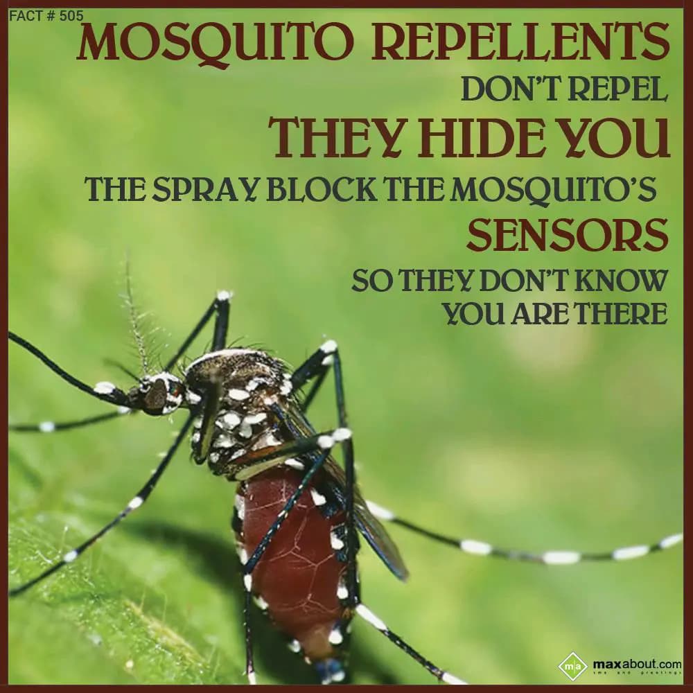 Mosquito repellents don't repel, they hide you.
T