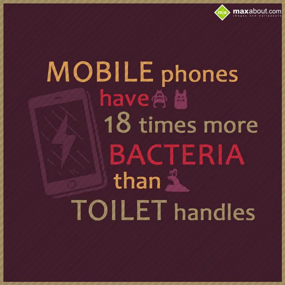 Mobile phones have 18 times more bacteria than toi