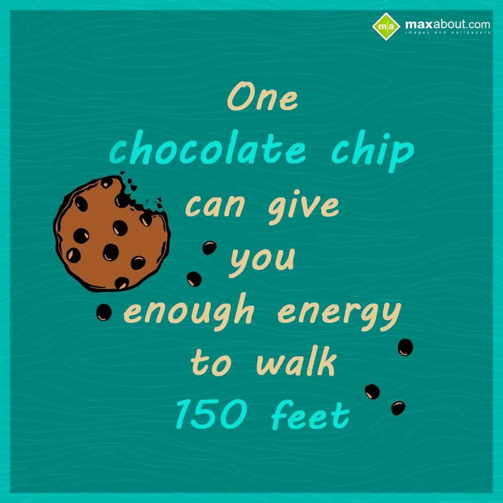 One chocolate chip can give you enough energy to w