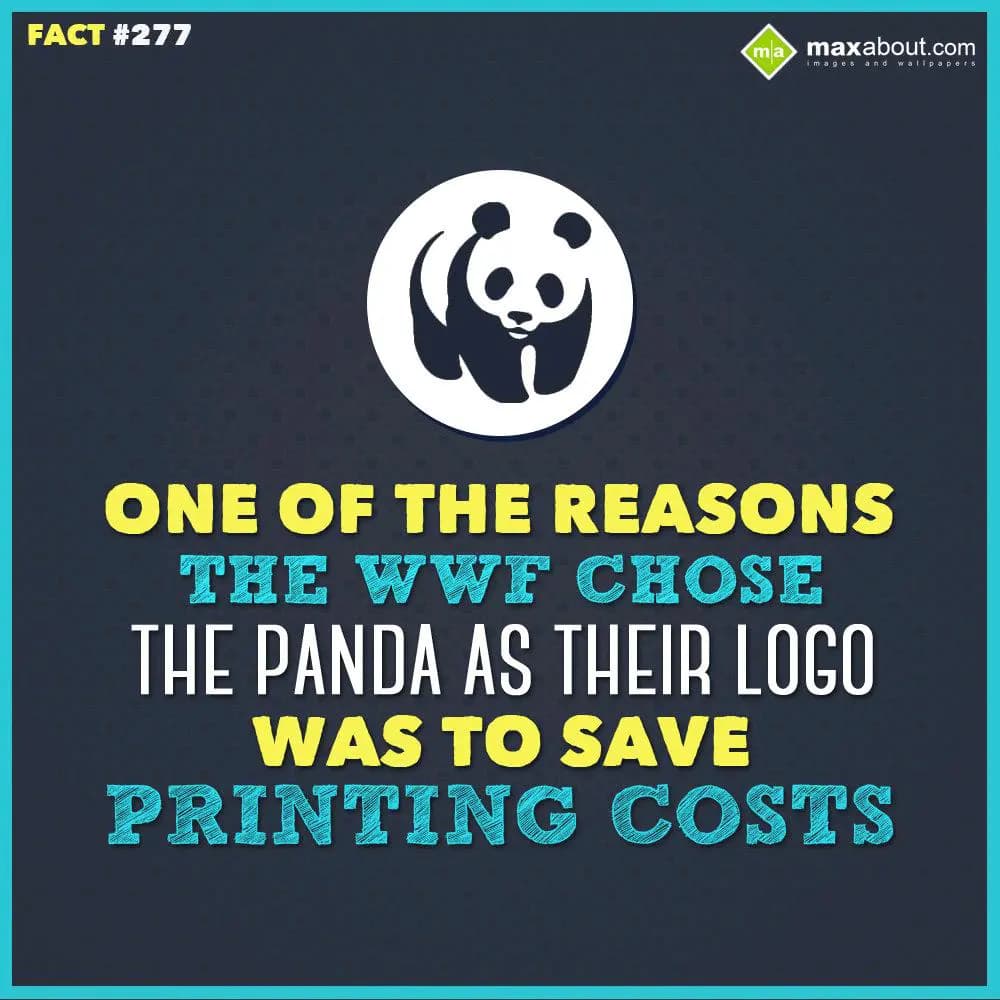 One of the reasons the WWF chose the panda as thei