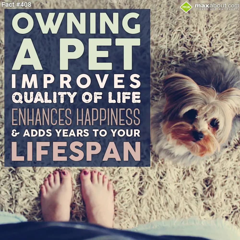 Owning a pet improves quality of life enhances hap