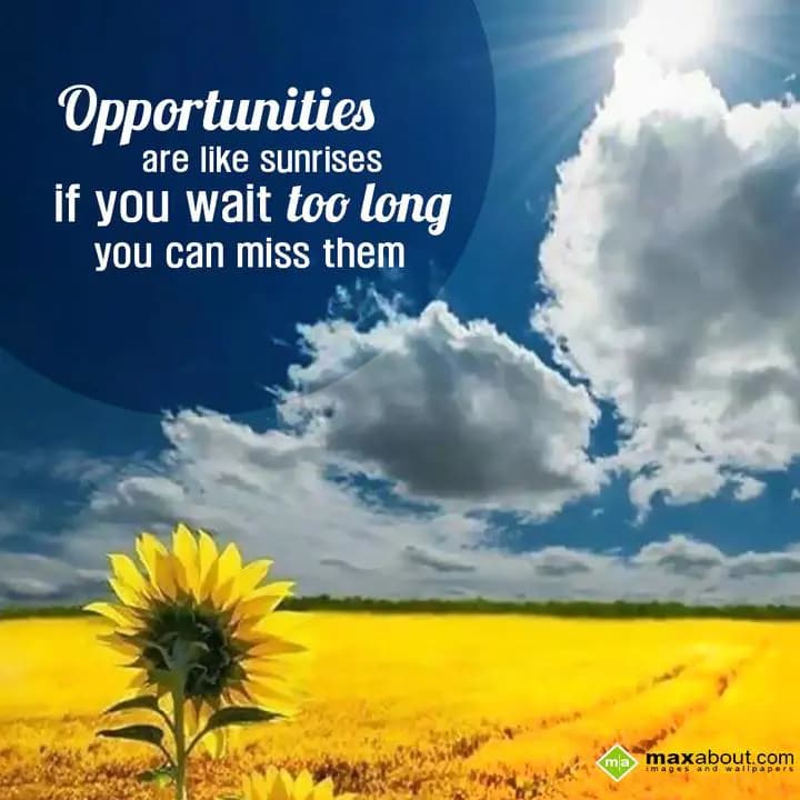 Opportunities are like sunrises if you wait too lo