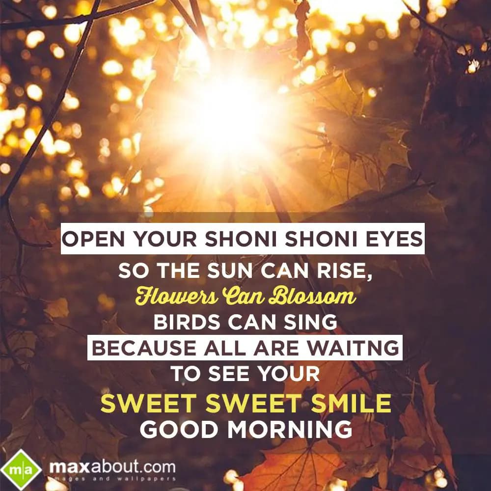 Open Your Shoni Shoni Eyes,
So The Sun Can Rise,