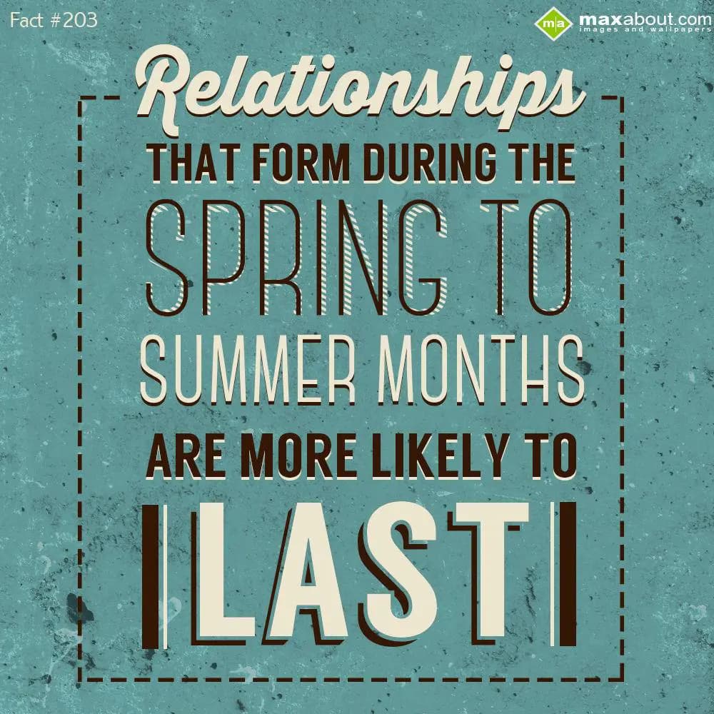 Relationships that form during the spring to summe