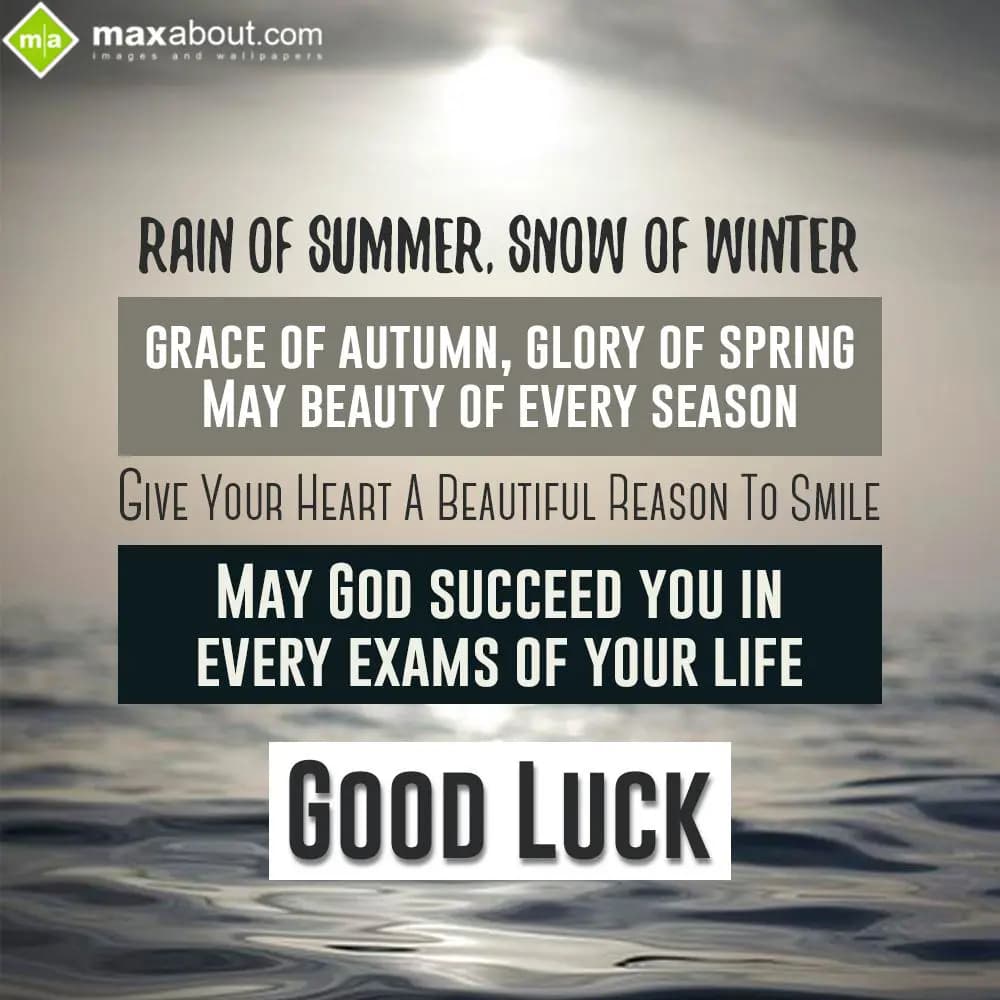 Rain of summer, snow of winter,
Grace of autumn, 