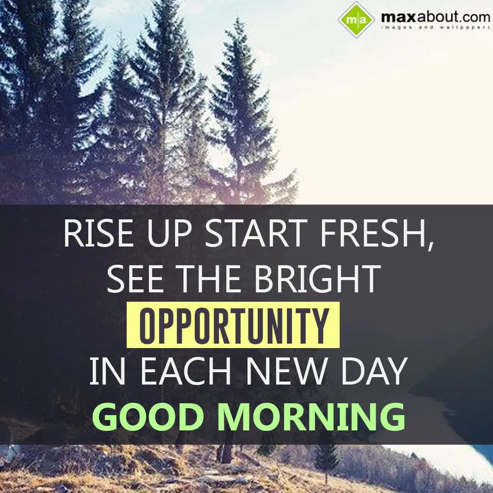 Rise up start fresh,
See the bright opportunity i