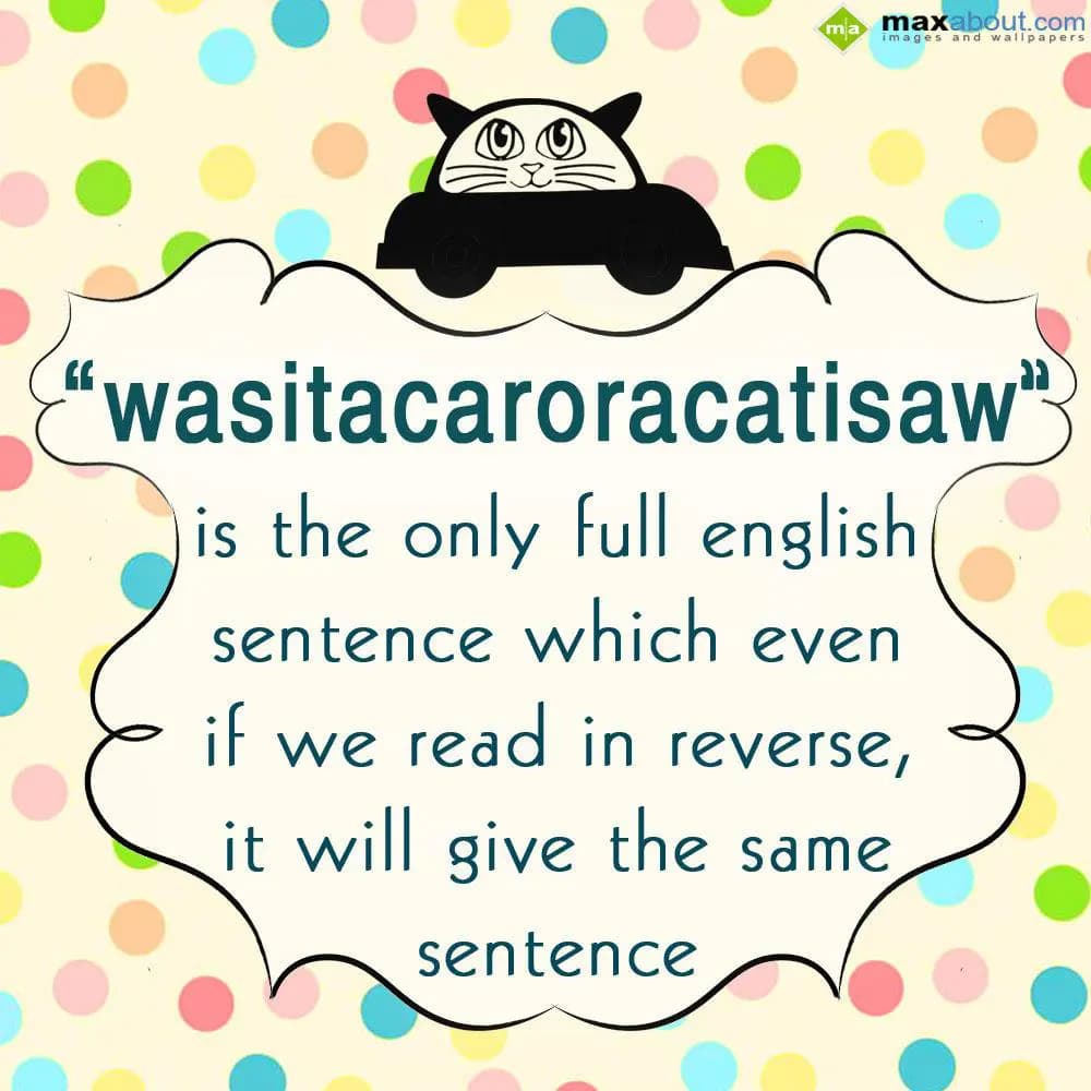 Wasitacaroracatisaw is the only full english sente