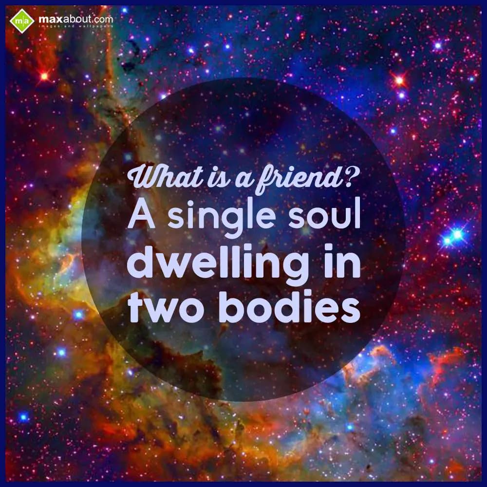 What is a friend?
A single soul
dwelling in two 