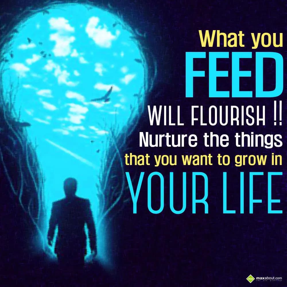 What you feed will flourish!! Nurture the things t