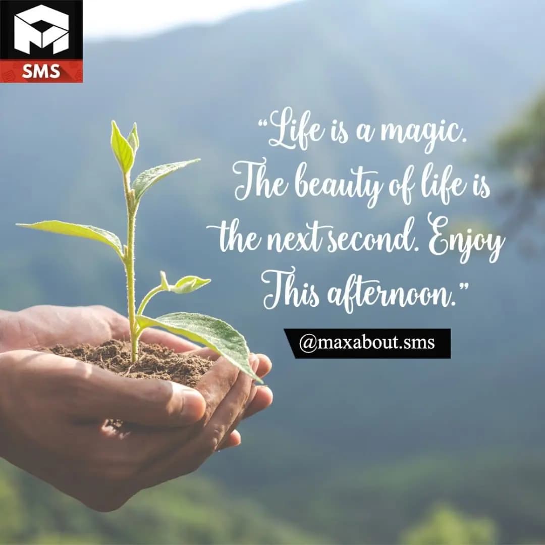 Life is magic. The beauty of life is the next seco