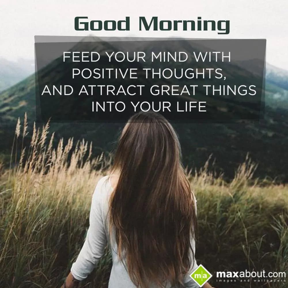 Feed Your Mind With Positive Thoughts,
And Attrac