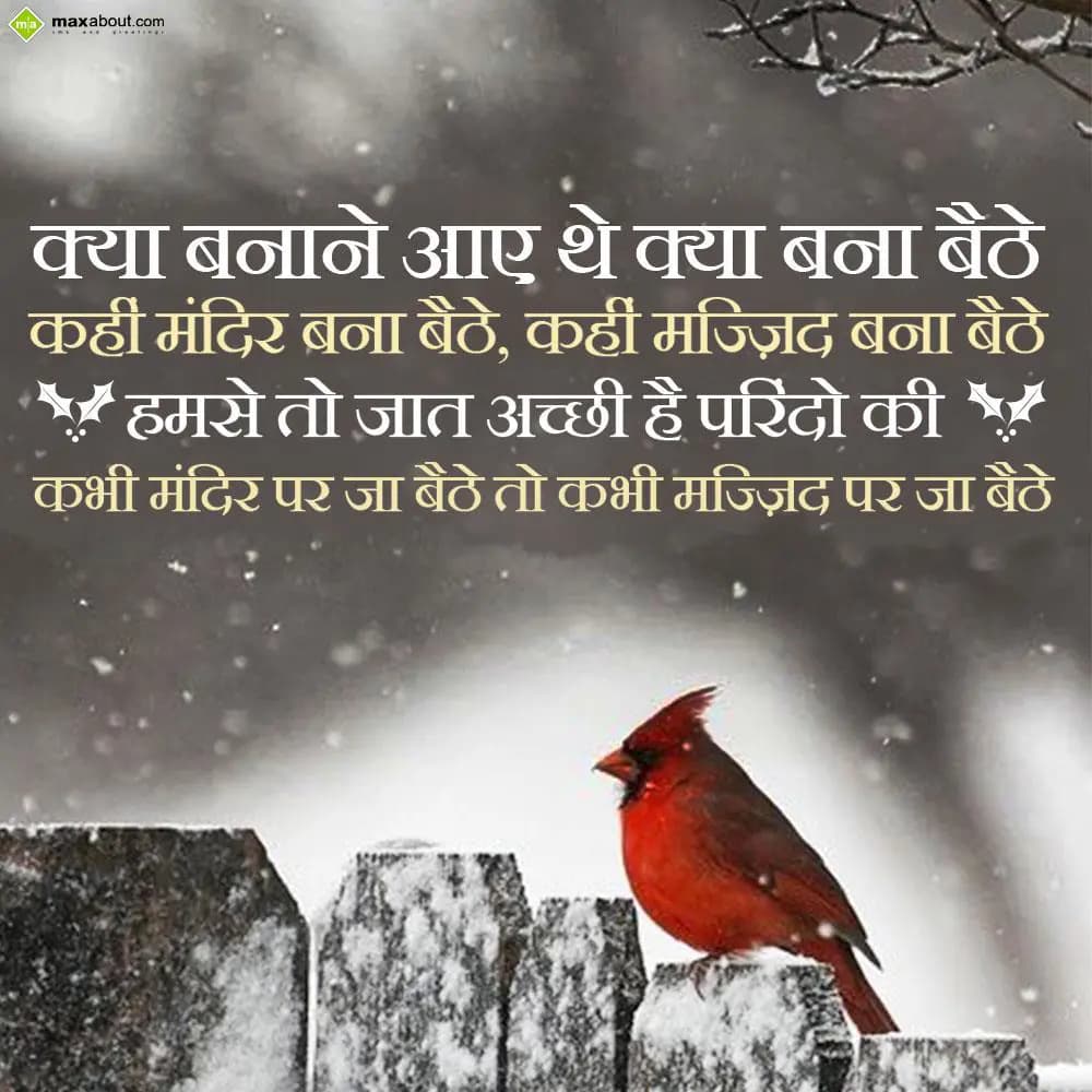 Kya banane aaye the kya bana baithe,
Kahin mandir